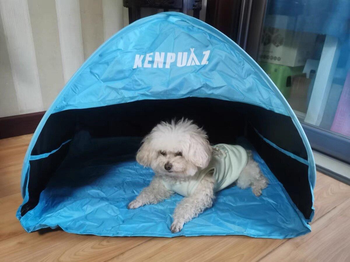 Hot Sale Tents Portable Easy F - Outdoor Camping Beds For Sale recensione e prezzo