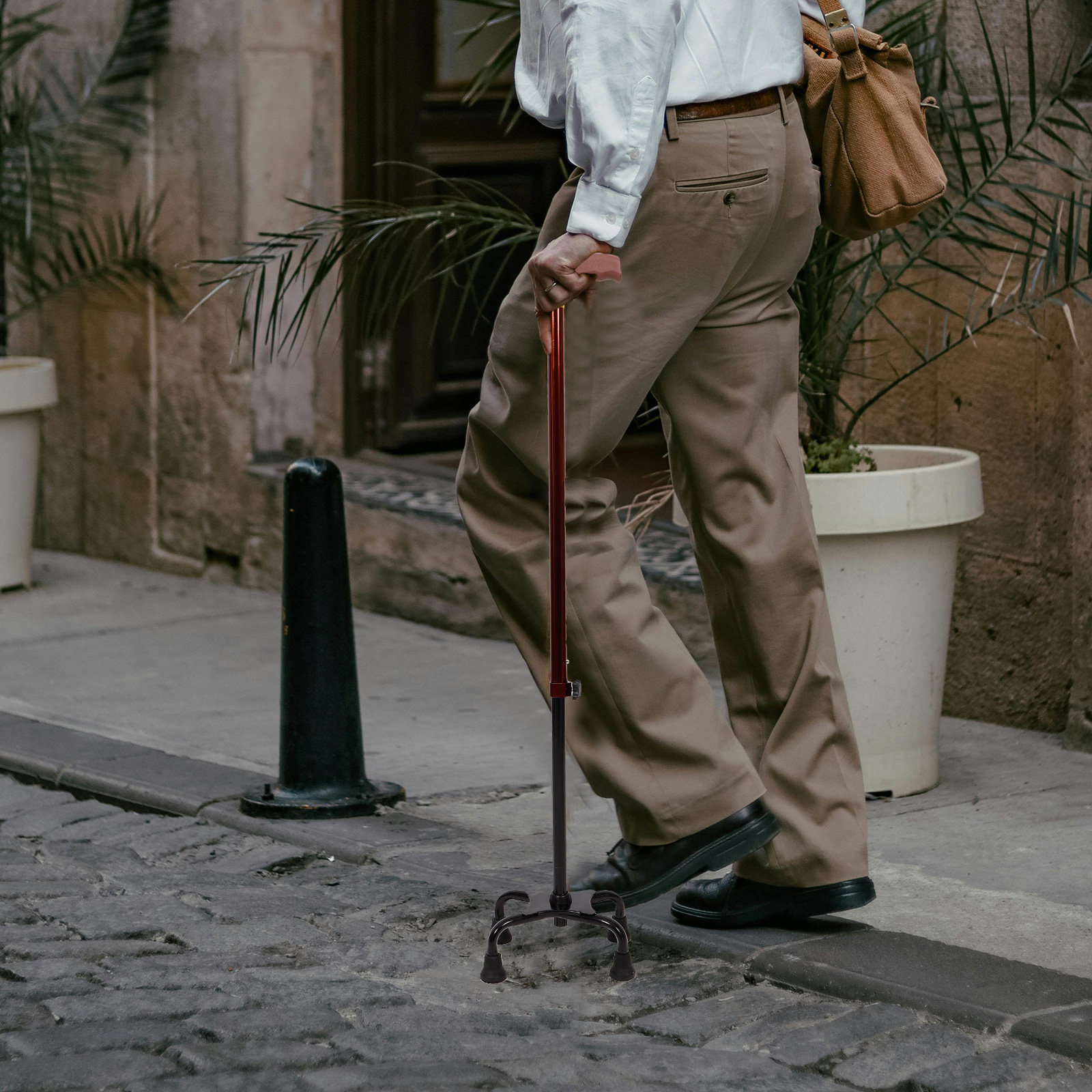 Aluminum Alloy Detachable Walk - Trekking Poles recensione e prezzo