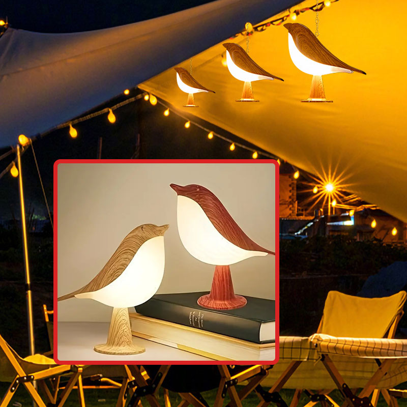 Camping Portable Night Lights  - Outdoor Camping Glamping Share recensione e prezzo